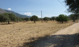 Eretria, Evia Land For Sale